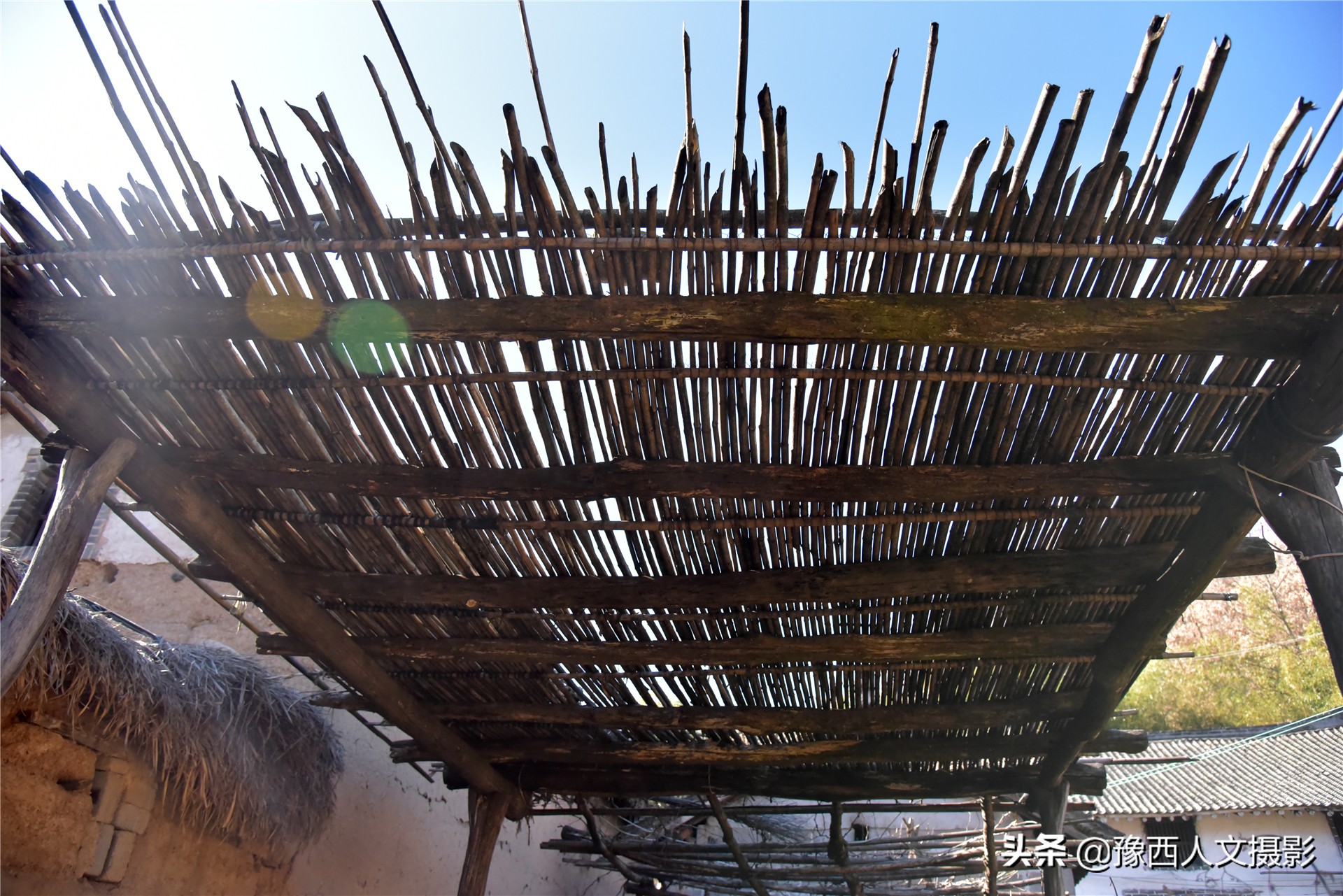 孤山坟墓葬在哪里好,孤山上的坟墓