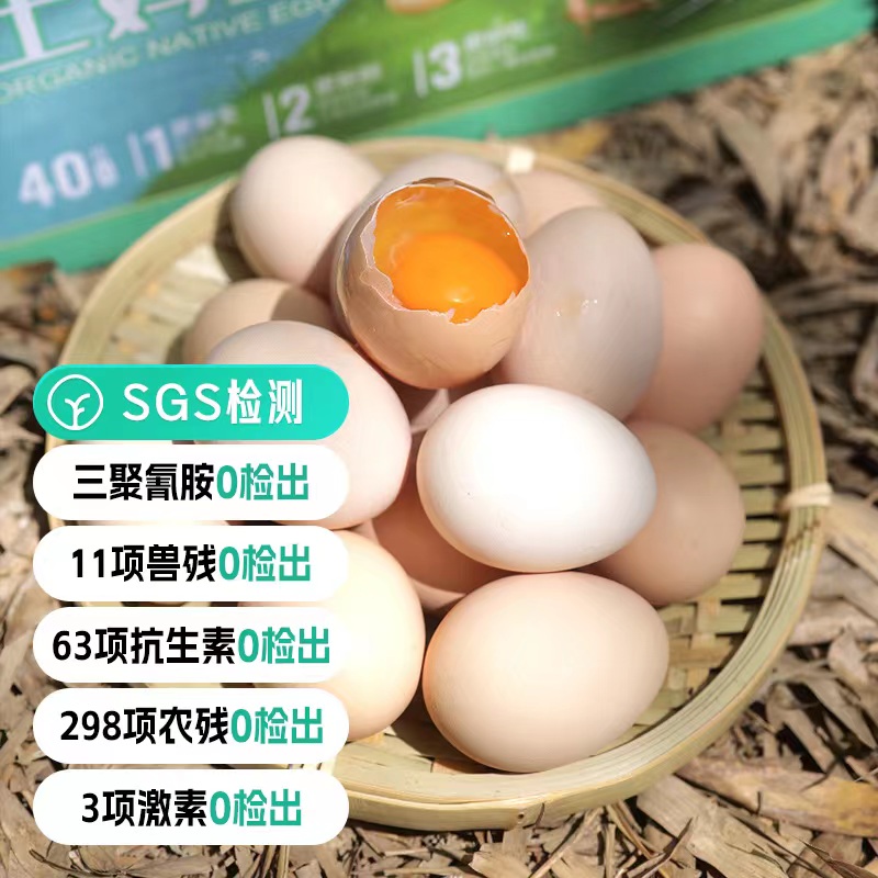 有机鸡蛋土鸡蛋,有机鸡蛋和土鸡蛋的区别