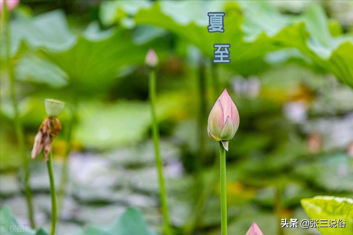 夏至刮大风是什么预兆,夏至有雨是什么预兆