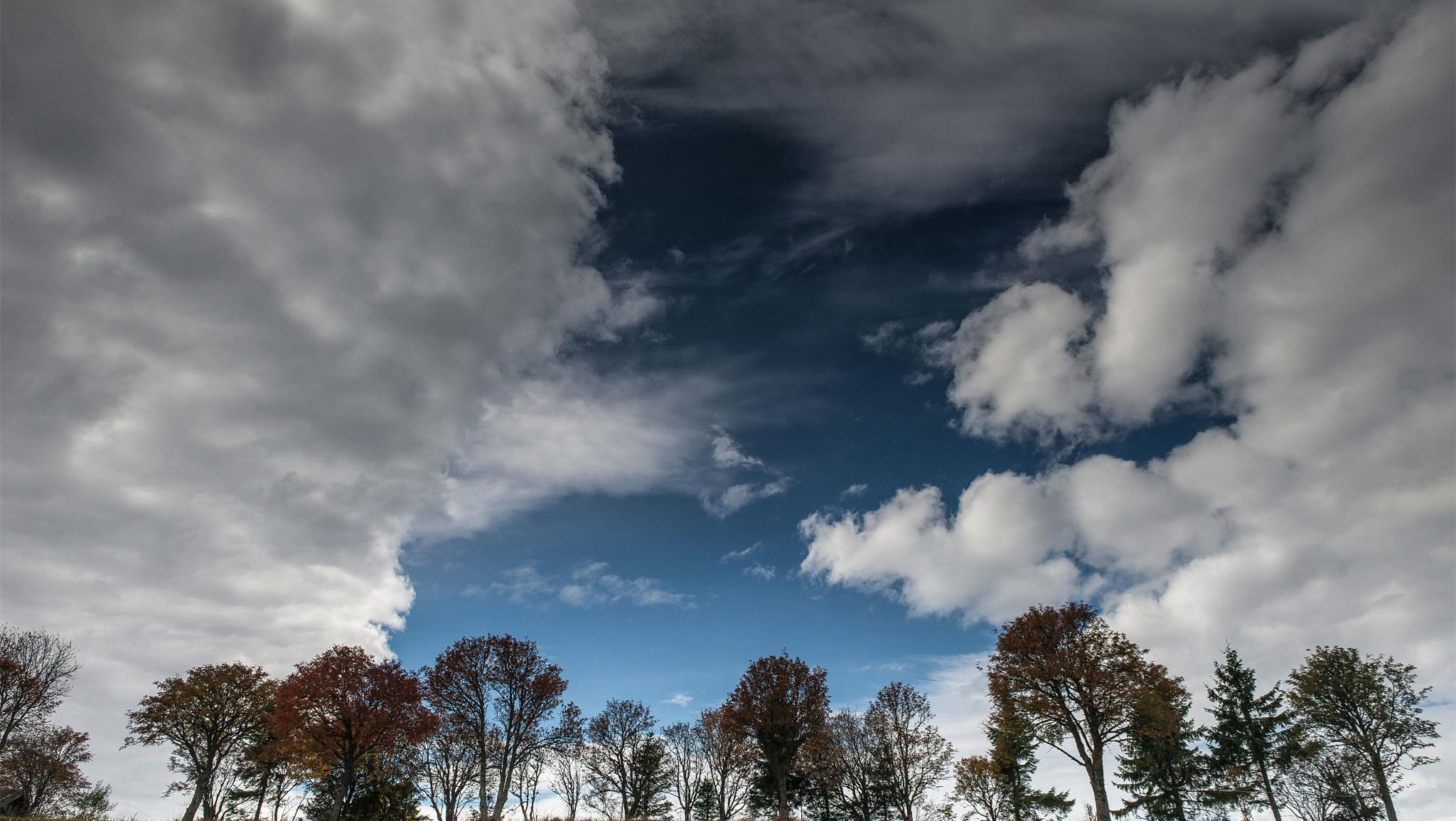 丈夫把情人安排进家里当保姆,老公把情人请回家当保姆