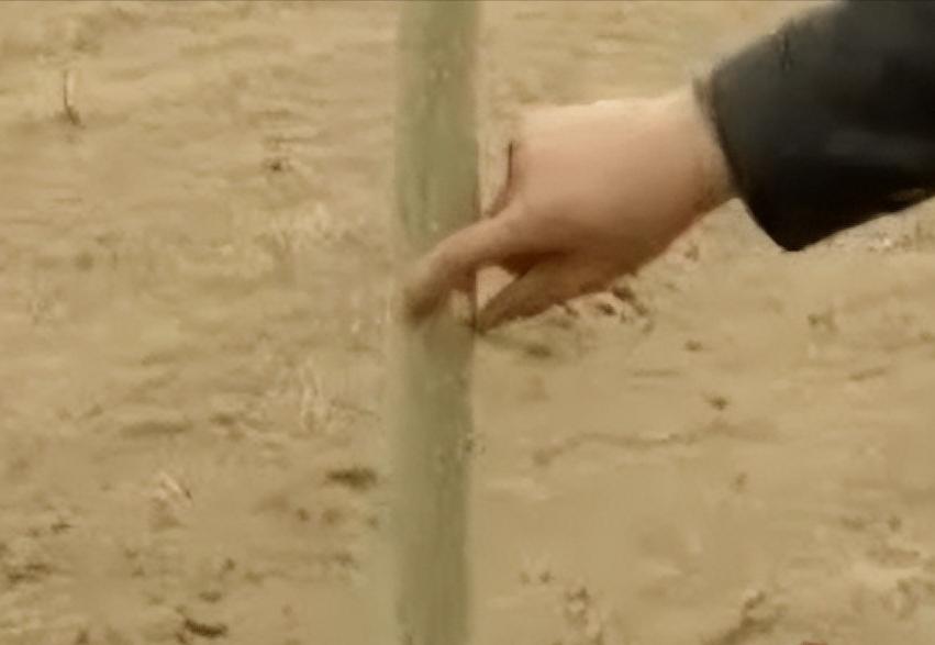 182万买手机靓号,诈骗13亿入狱,“万里大造林”的*相贵陈**,东山再起