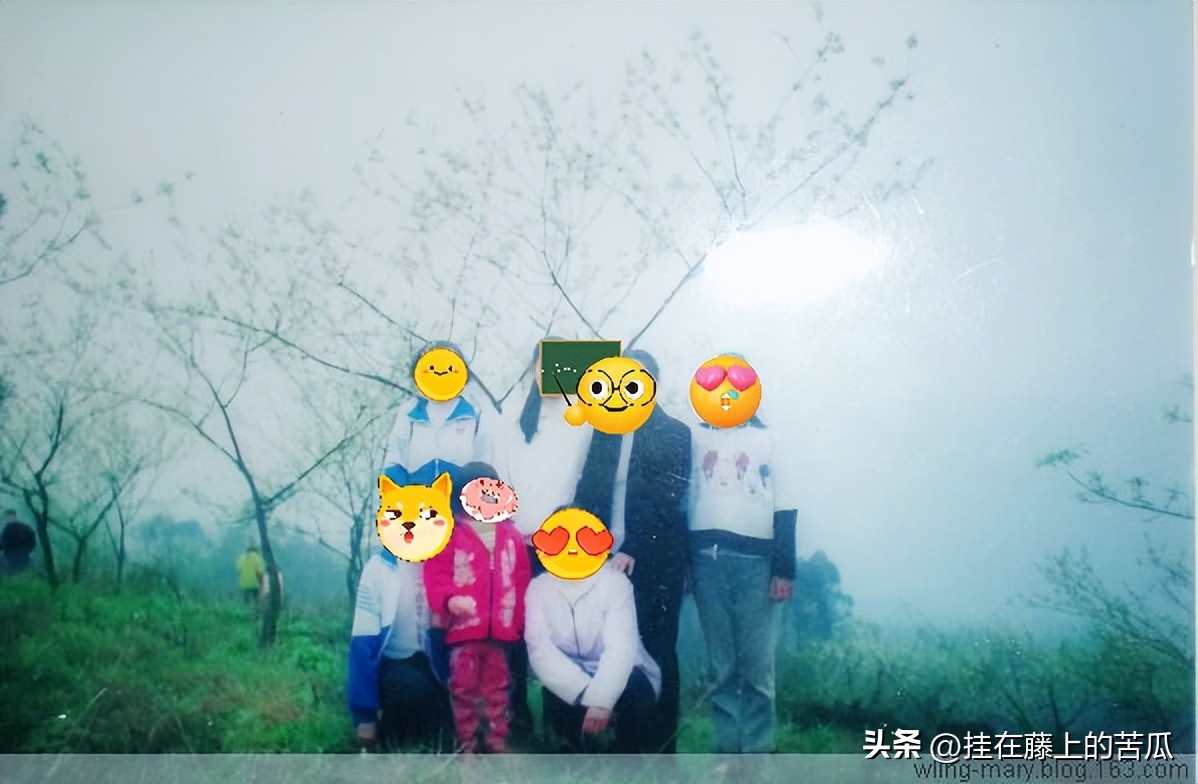 木洞桃花岛工程,木洞桃花岛攻略