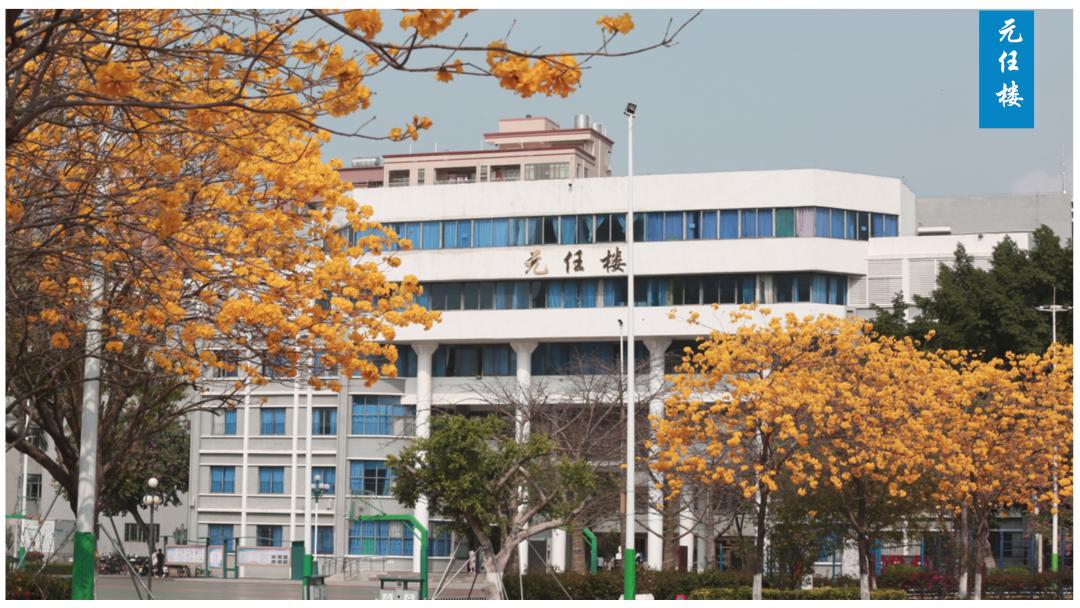 深圳光明高级中学体育场,深圳光明高级中学校队