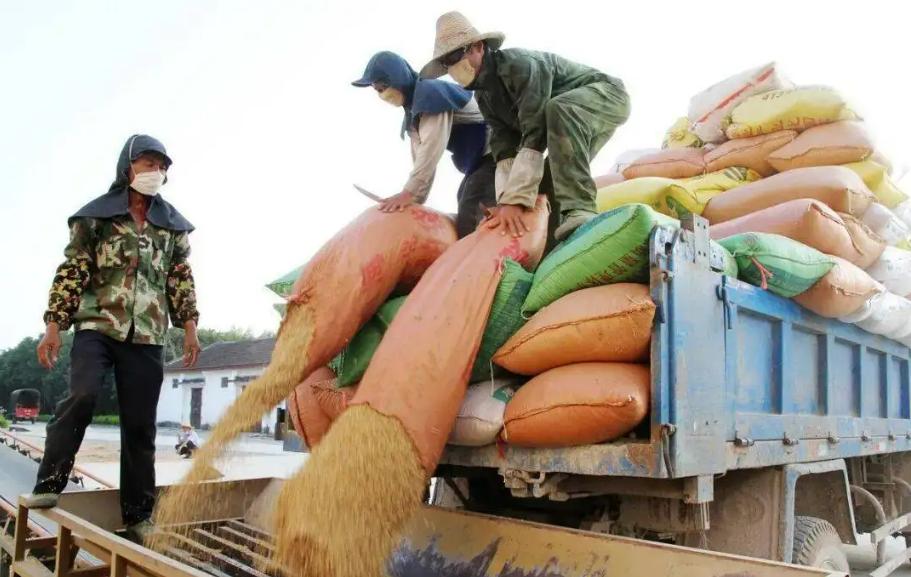 对粮农一次性发放多少补贴,怎么领取政府发放农业补贴