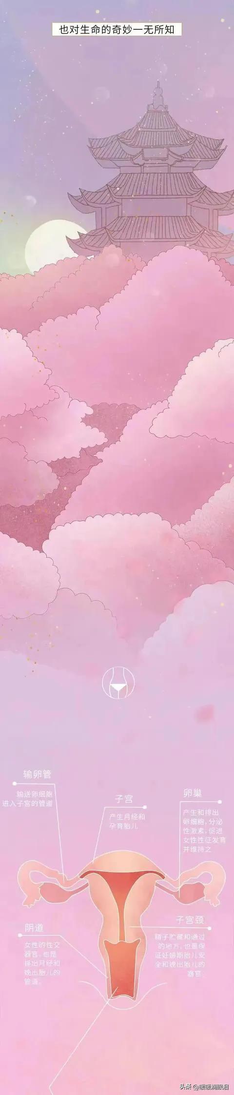 男女性知识科普,成人男性怎么了解性教育