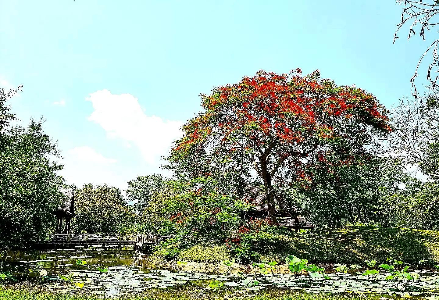 2022年云南门票免费的景区,云南4a级的景区最值得去的