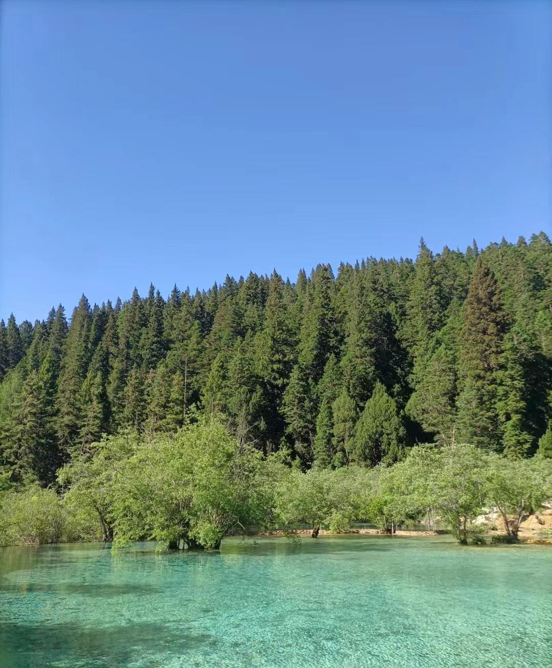 四川九寨沟四天三晚自由行攻略,成都九寨沟冬季旅游攻略