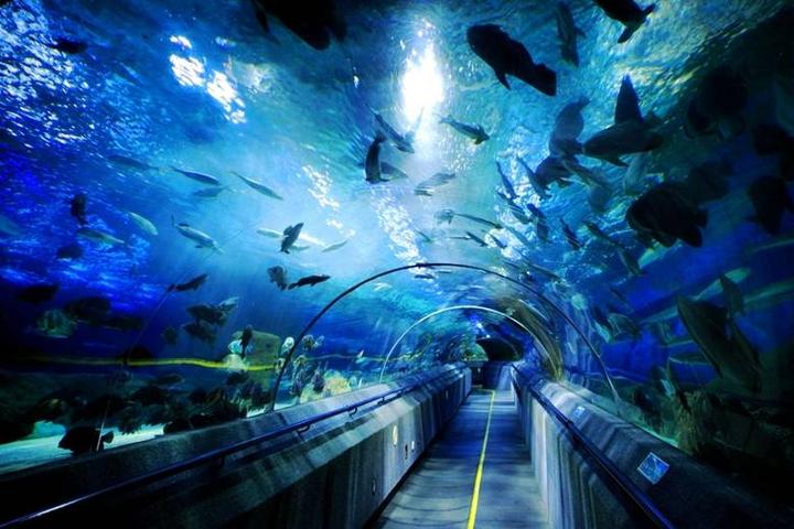 大连旅游攻略大连自由行最佳路线,暑假大连旅游攻略自由行