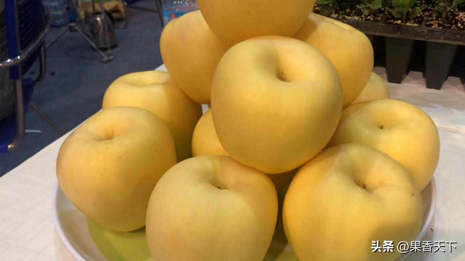 最新苹果品种排名,最有潜力苹果新品种前三名