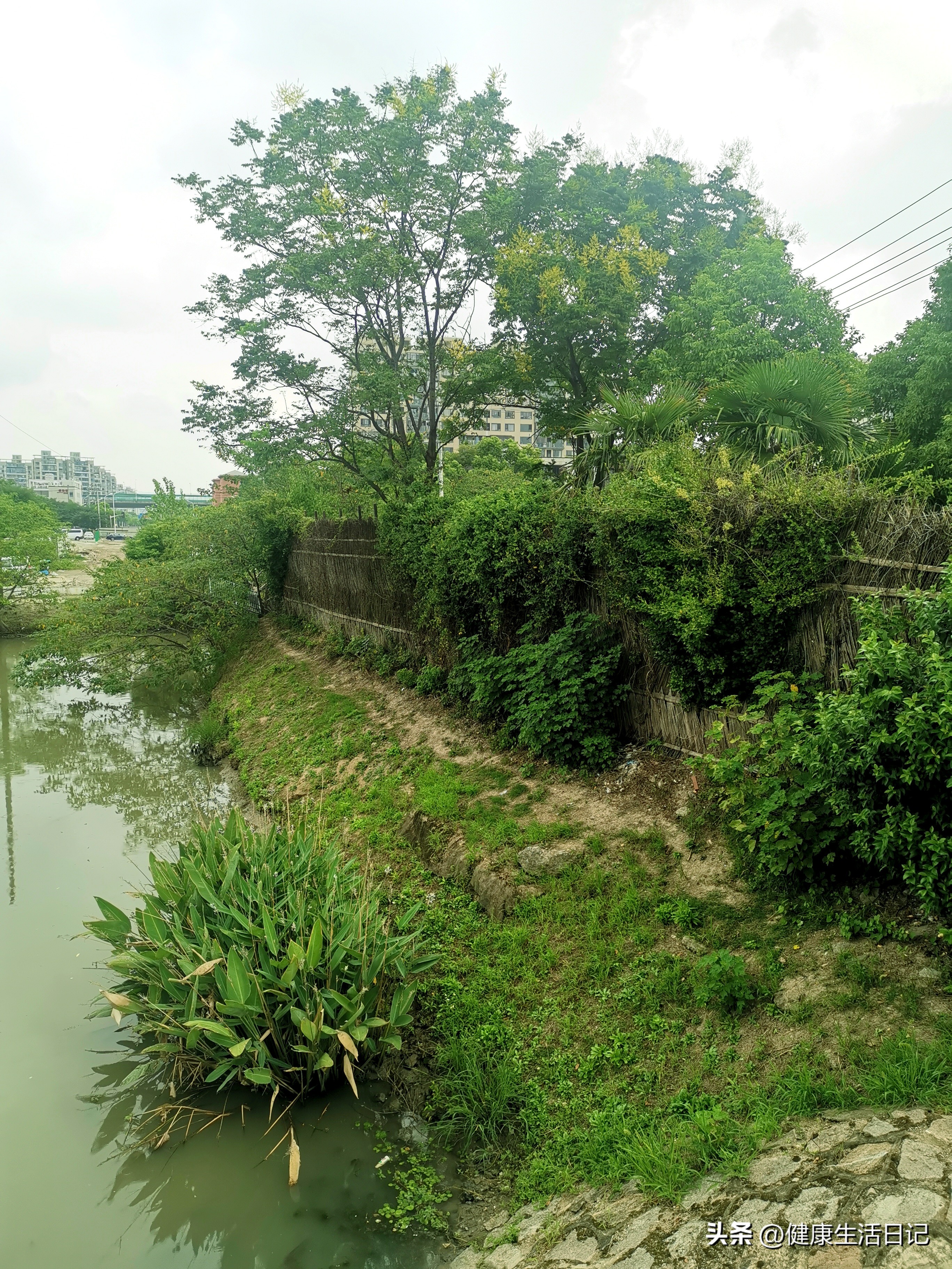 上海三林的公园,上海浦东三林公园在哪里