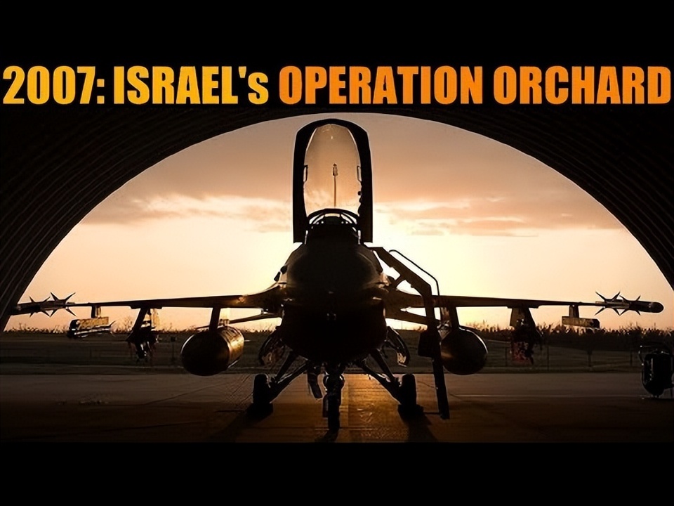 果园行动视频,果园行动感想