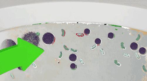 卫生间清洁攻略霉斑水垢异味,地面水垢清洁小妙招卫生间