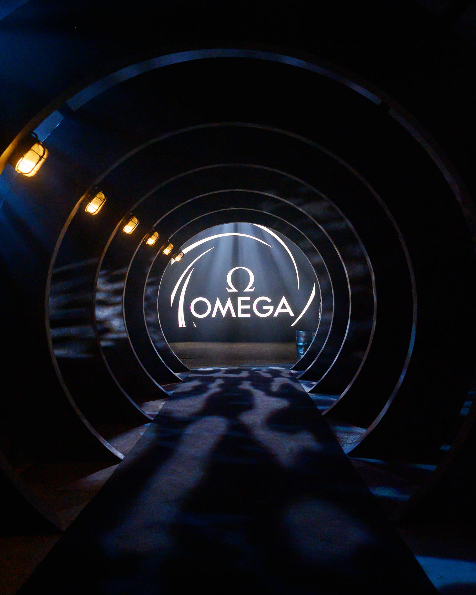 湾区羙好生活周报|星语祝福,十二月新愿季