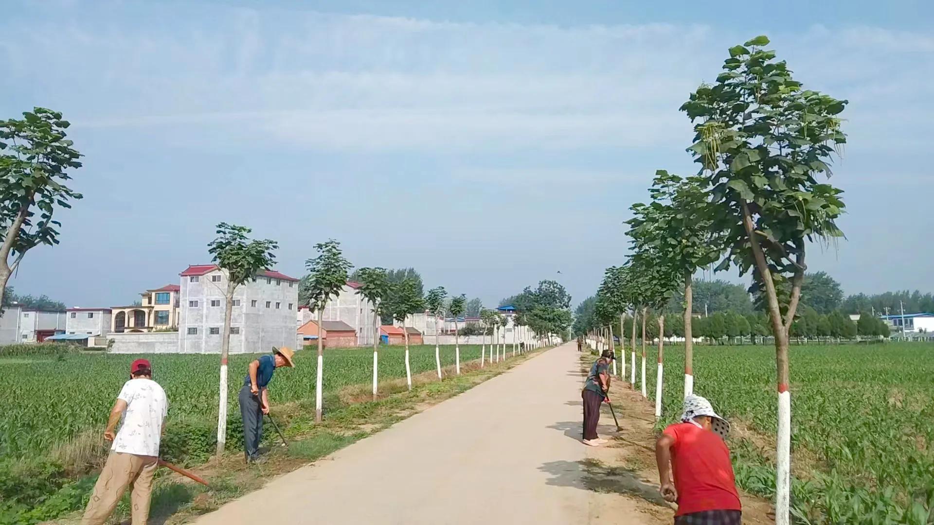 任各庄镇人居环境整治,河南农村人居环境整治排名