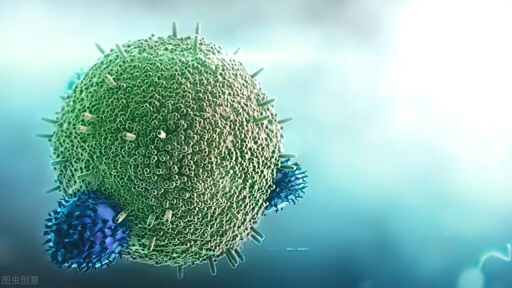 白花蛇舌草有散结的功效吗,每天一味中药白花蛇舌草饮片