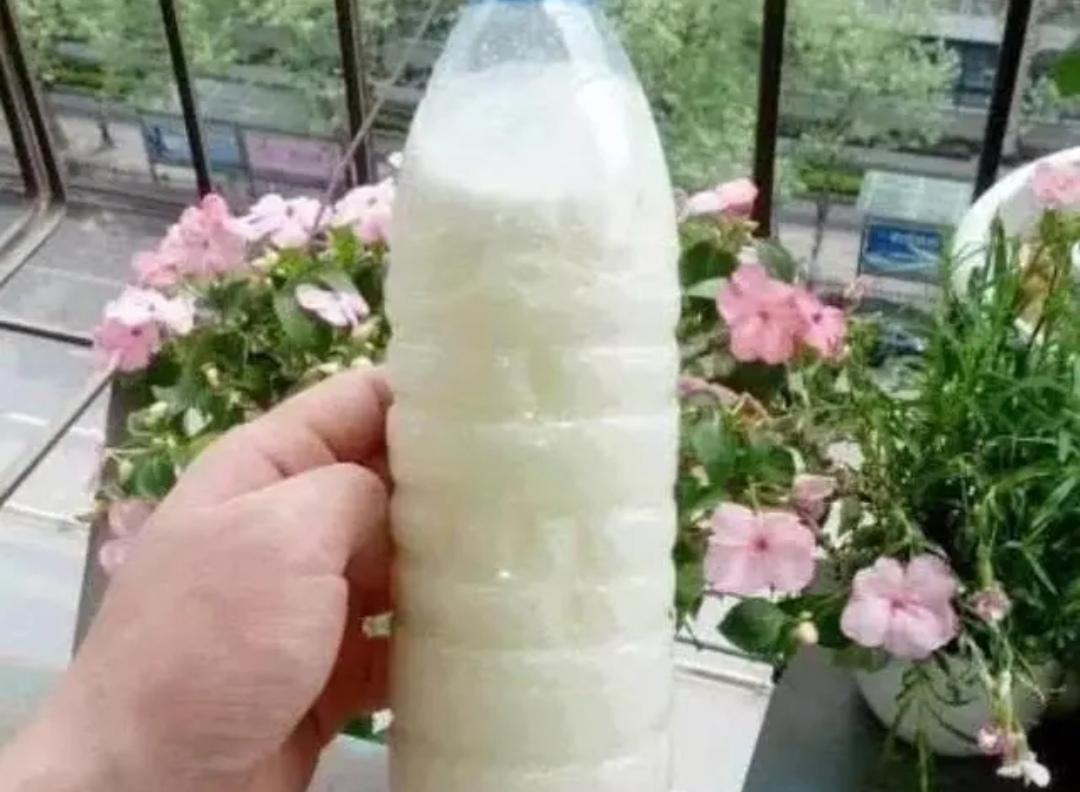 营养液浇花的最佳方法,水养的花怎么自制营养液