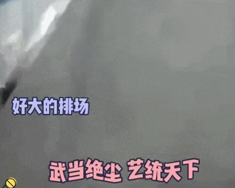 33岁过气顶流“蠢”上热搜，网友却笑疯了：他不火天理难容！