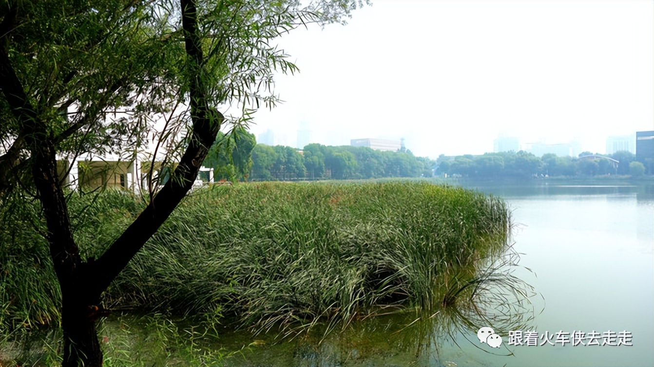 老天津读历史，新天津新全运（四）——天津大学（下）