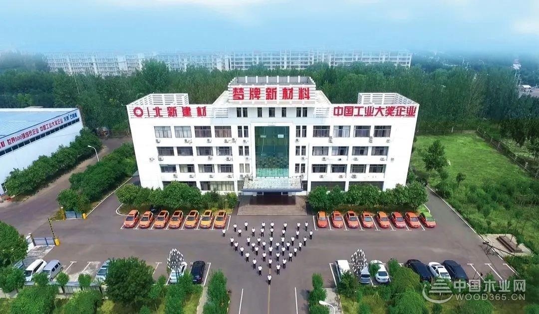 步履不停逐梦而行梦牌斩获“行业影响力十大品牌”荣誉