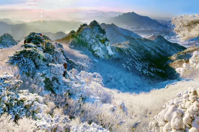 新年文旅大礼包,喜迎新春送豪礼活动