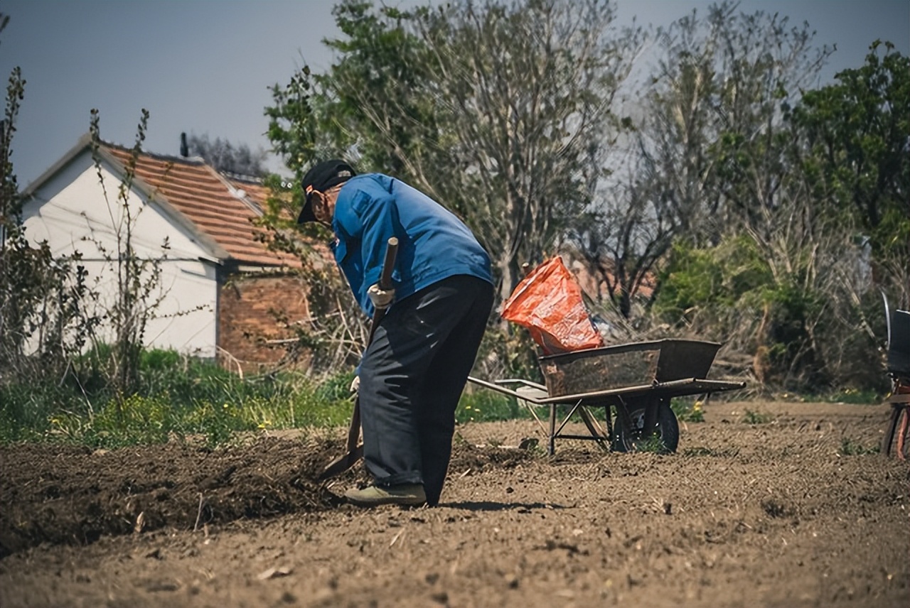 双11快递员送快递辛苦,日均送货5亿件双11快递小哥辛苦了