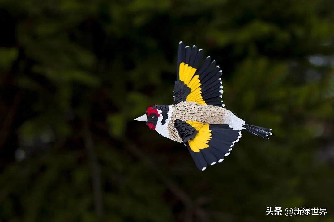 纸艺作品绘画,千变万化的纸艺术作品