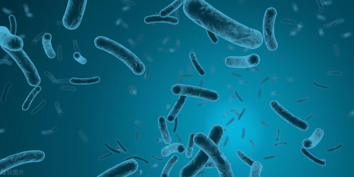 长时间被雨水浸泡,长时间泡在井水里会怎么样