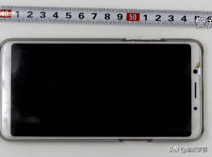 湖北母女被抛尸案,林场杀人案背后的故事