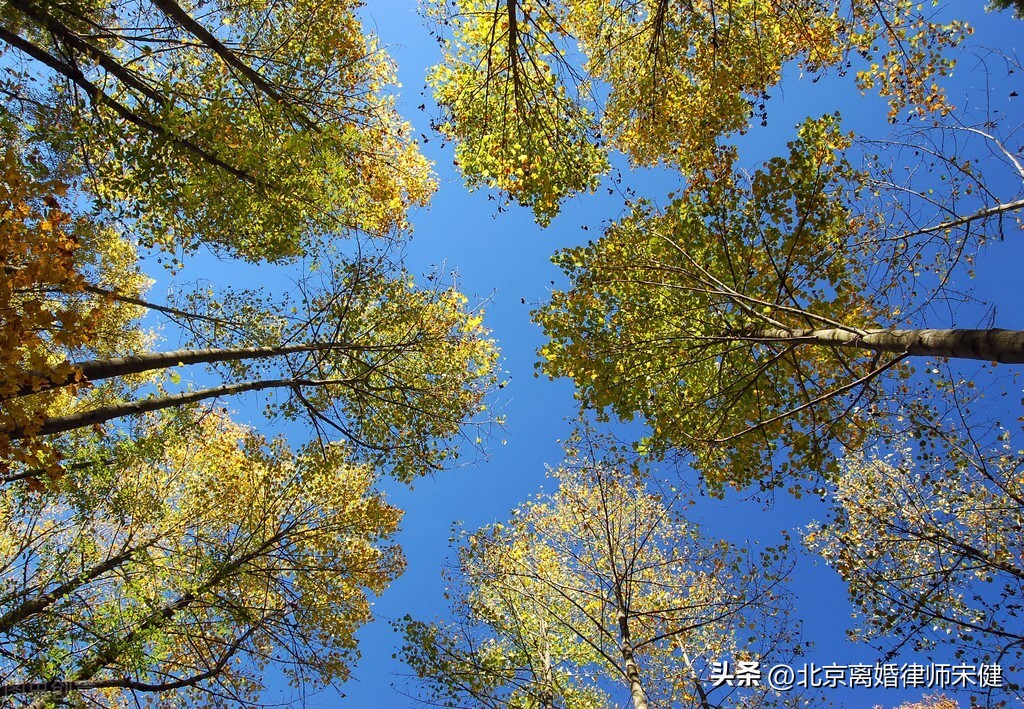离婚起诉简易程序和普通程序,离婚起诉简易程序