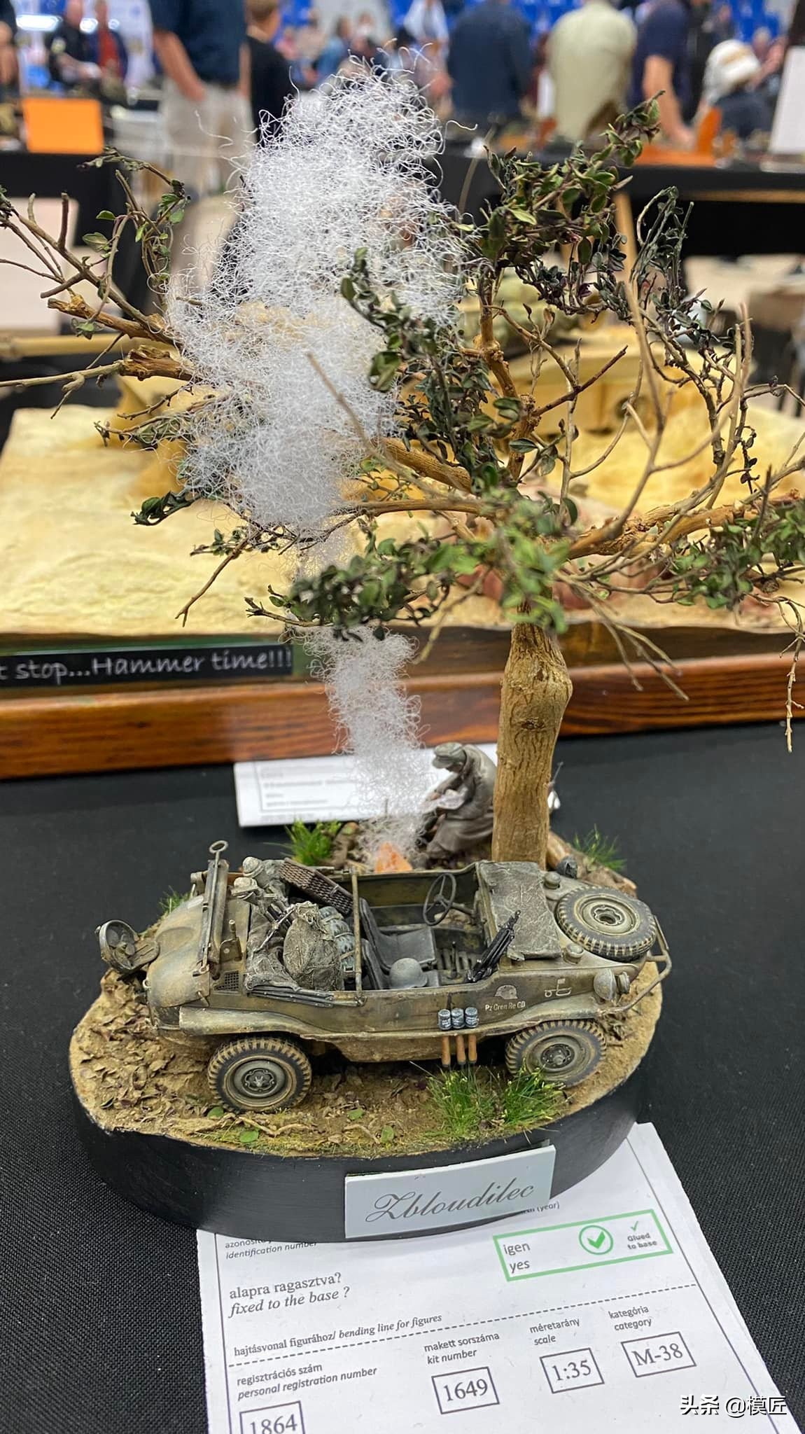 匈牙利莫森金奖,莫森模型展