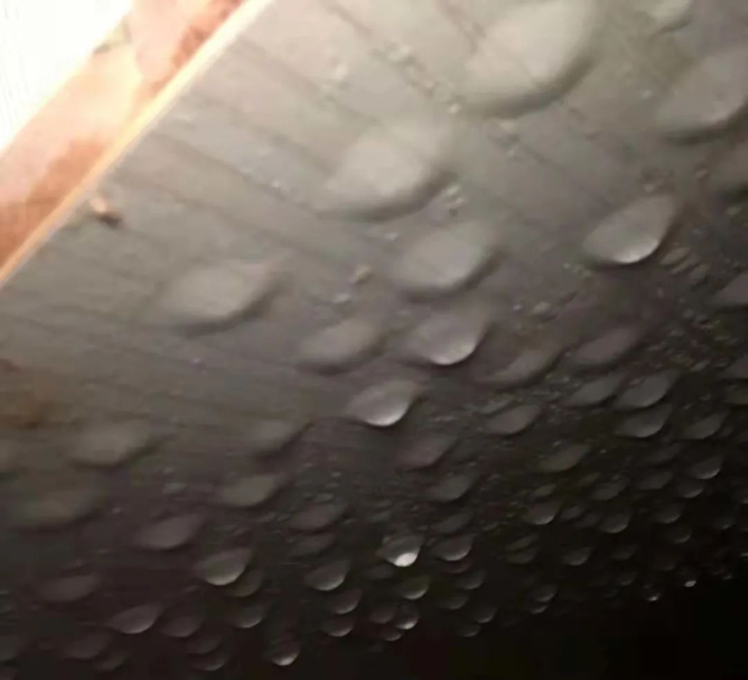 哭了!墙裂房漏屋霉,80多岁老夫妻泪涟涟!修房难难难,真相伤伤伤