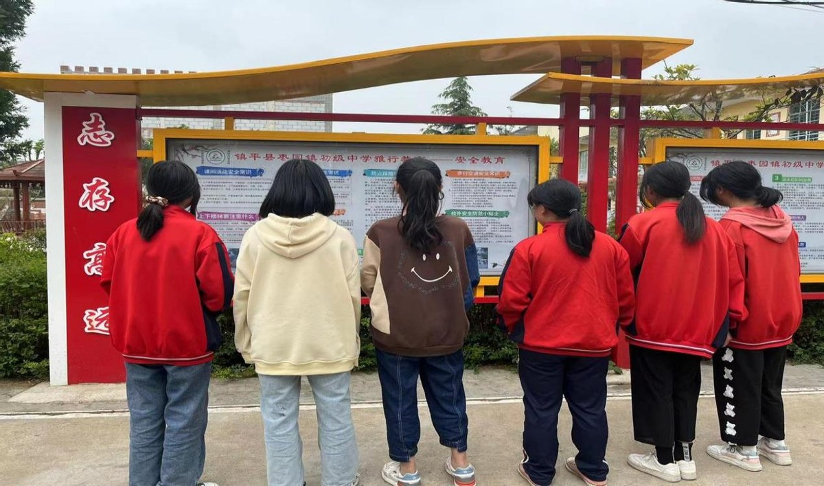 开展网络安全教育活动,主题教育守护网络安全