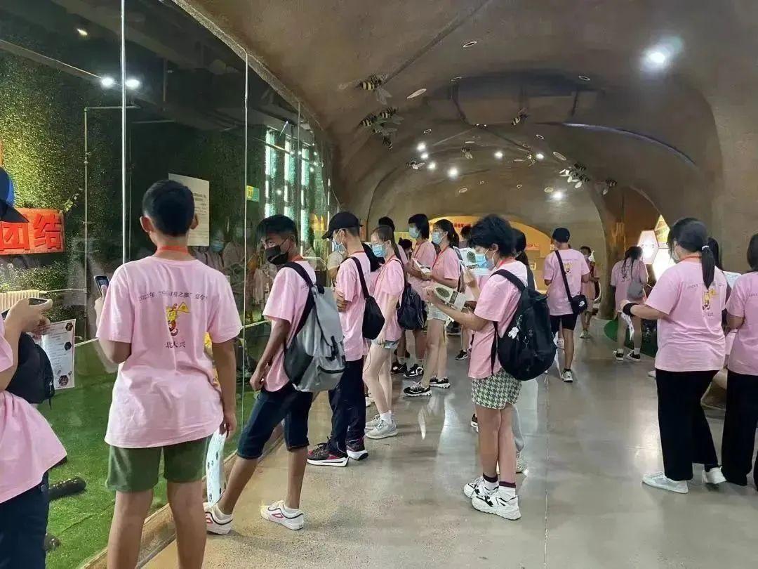 跨越山海一起去探寻古村落的神秘,寻根之旅海外华人