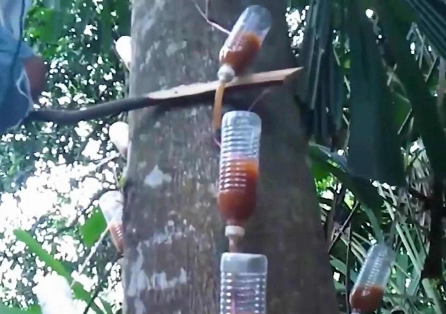 沉香文玩便宜吗,沉香手把件文玩