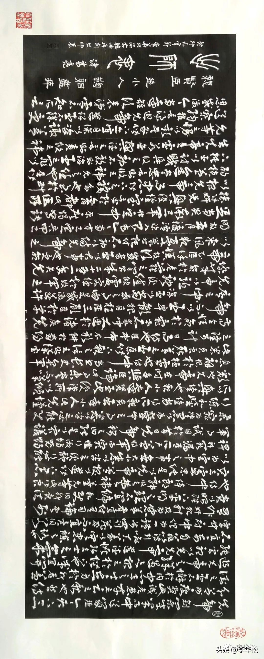 我去福州买石头喜遇纺织娘