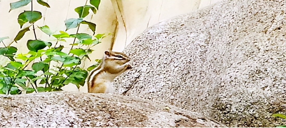 大连安波鸿缘温泉山庄,安波鸿缘温泉山庄