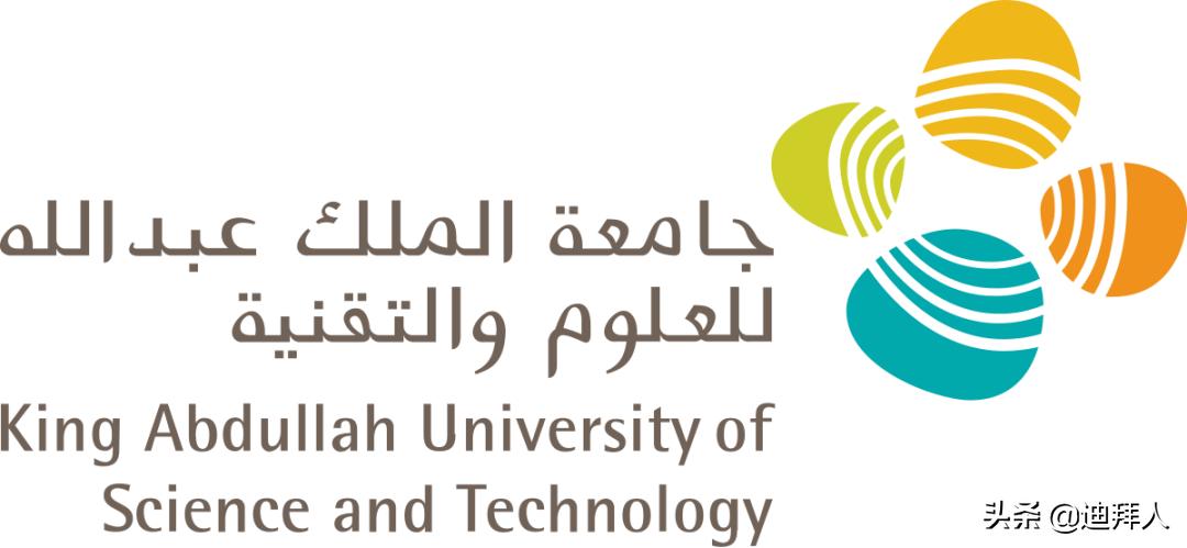 沙特最好的大学是哪个,沙特有哪些大学