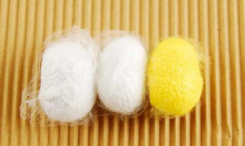 八维学校真实生活,走进八维学校