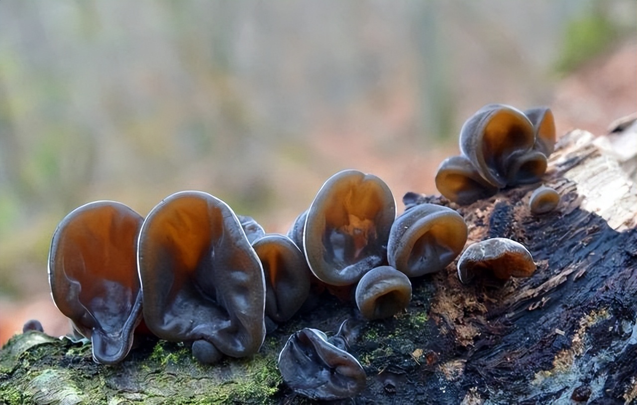 经常手麻的人要注意了,经常出现手麻这三个地方要注意啦