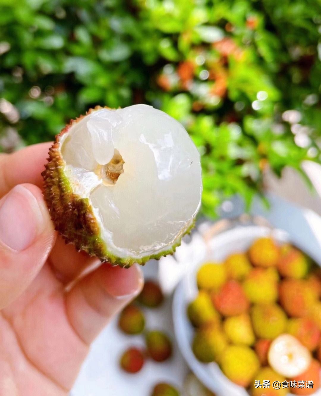 妃子笑是荔枝最好吃的品种吗,妃子笑荔枝有几种品种