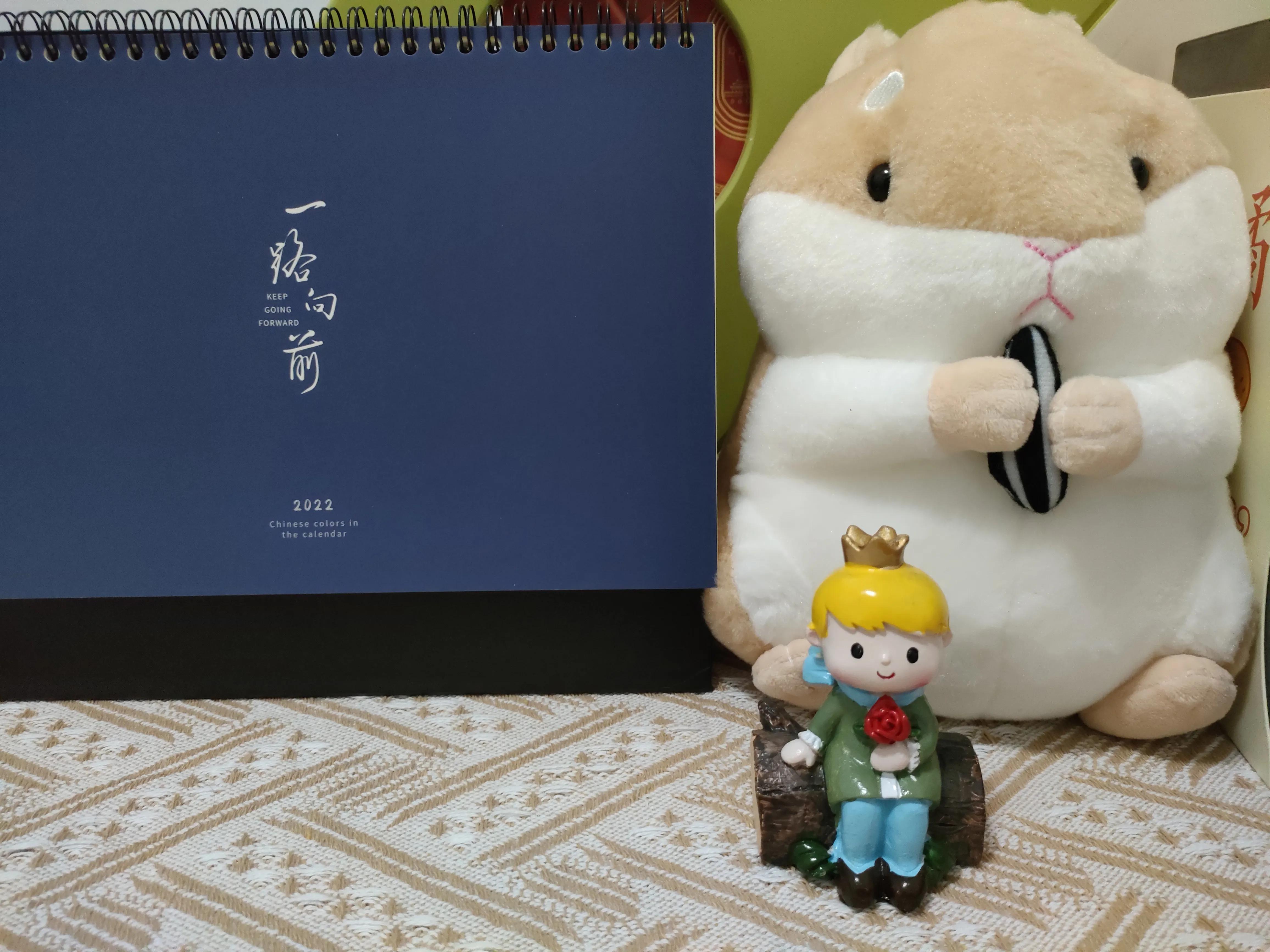 我的2022总结：打九价，年收入6万，自律写作字数3万，事事顺利