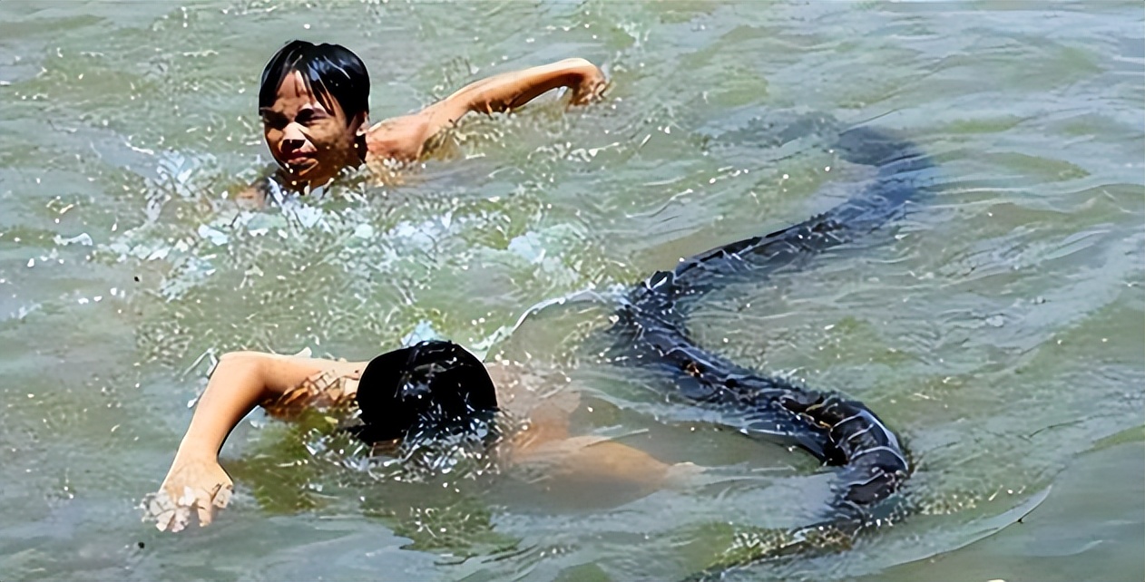 海南巨蟒现状,50年代南海巨蟒事件