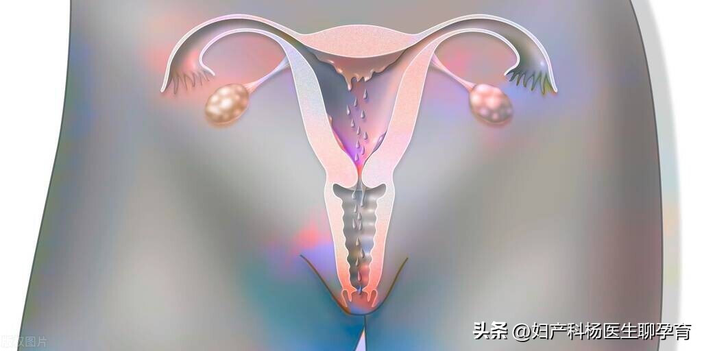 月经期间血块多是什么原因导致的,月经期血块多什么原因造成的