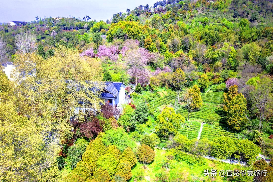 武汉黄陂茶谷风景区,武汉市黄陂区后花园