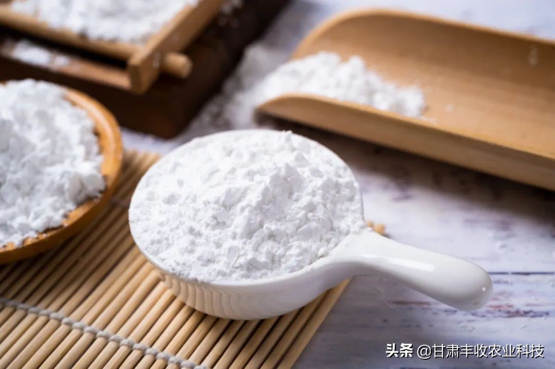 木薯淀粉属于薯类淀粉吗,谷类淀粉和薯类淀粉支链淀粉