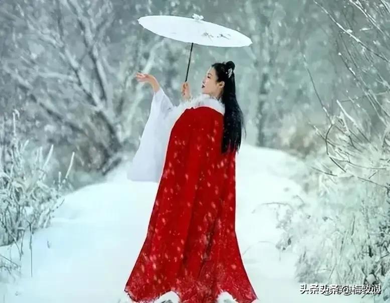 紫石金麟|咏梅七律三十韵②（二叠韵合集）