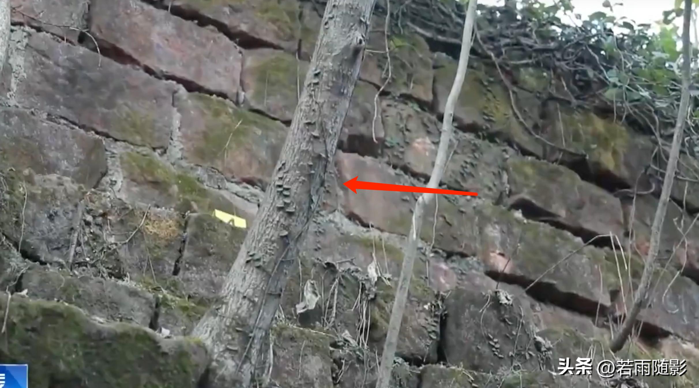 胡鑫宇案录音笔鉴定结果,胡鑫宇案尸检结果和录音笔内容