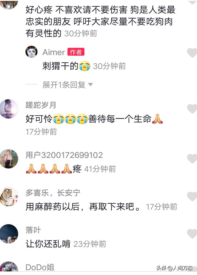 狗狗咬刺猬的视频,狗子咬刺猬怎么回事