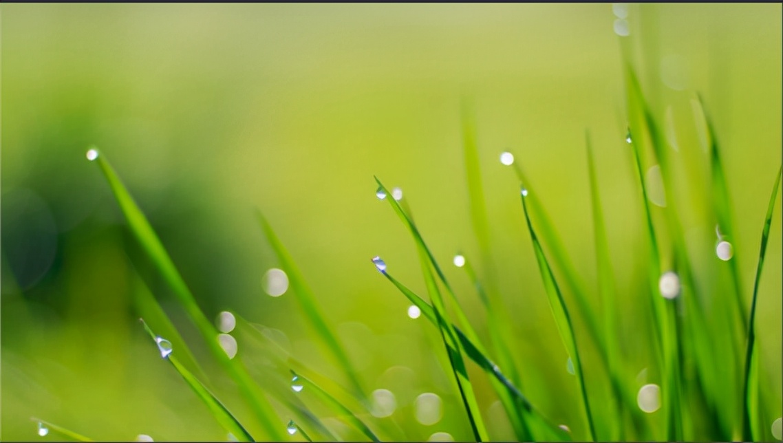 2024体育专项考试方法和评分标准,2022版体育专项考试方法