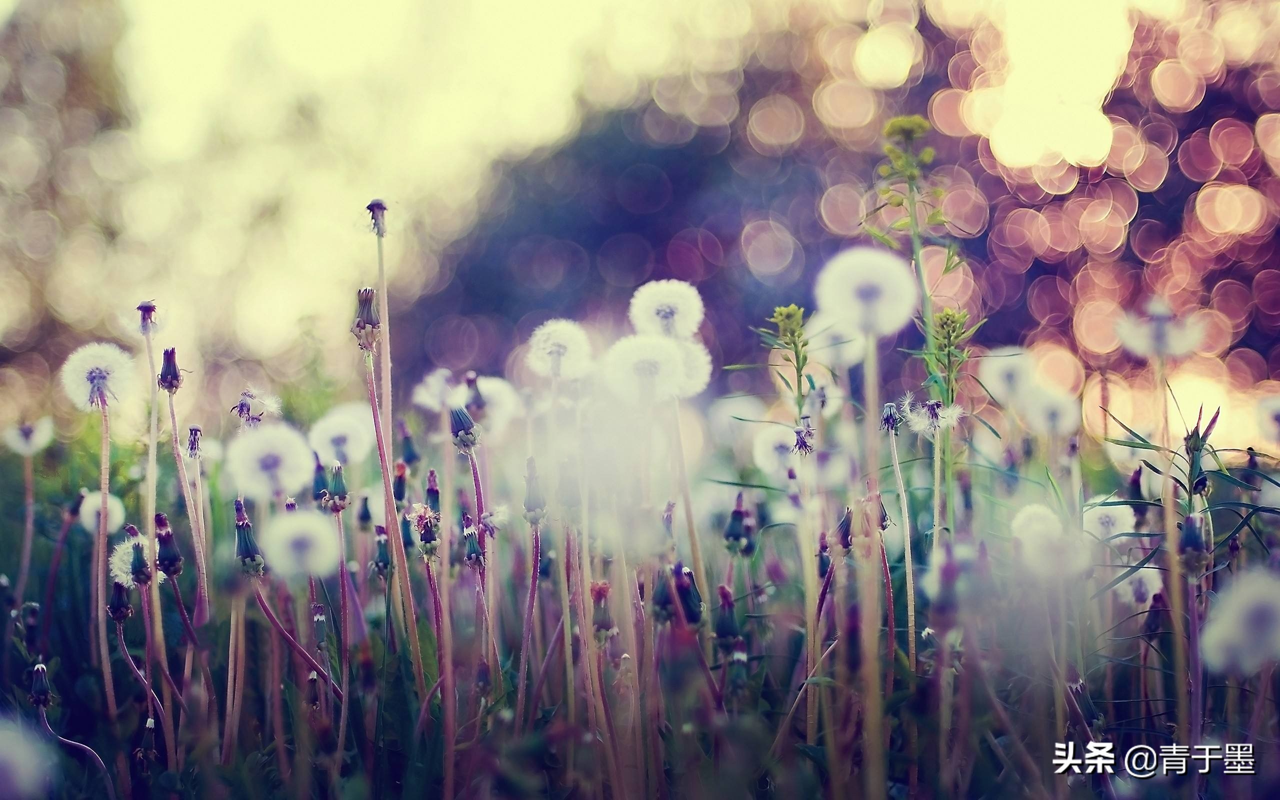 活着余华最经典的十句话,活着余华对人生的感悟